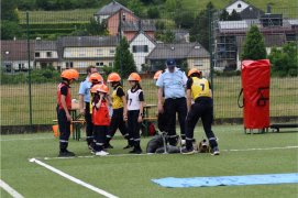 Fédération Nationale des Pompiers